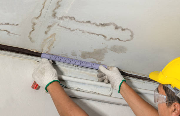 Reliable Mold Remediation contractor in Bergenfield, NJ by Water Damage Irwin